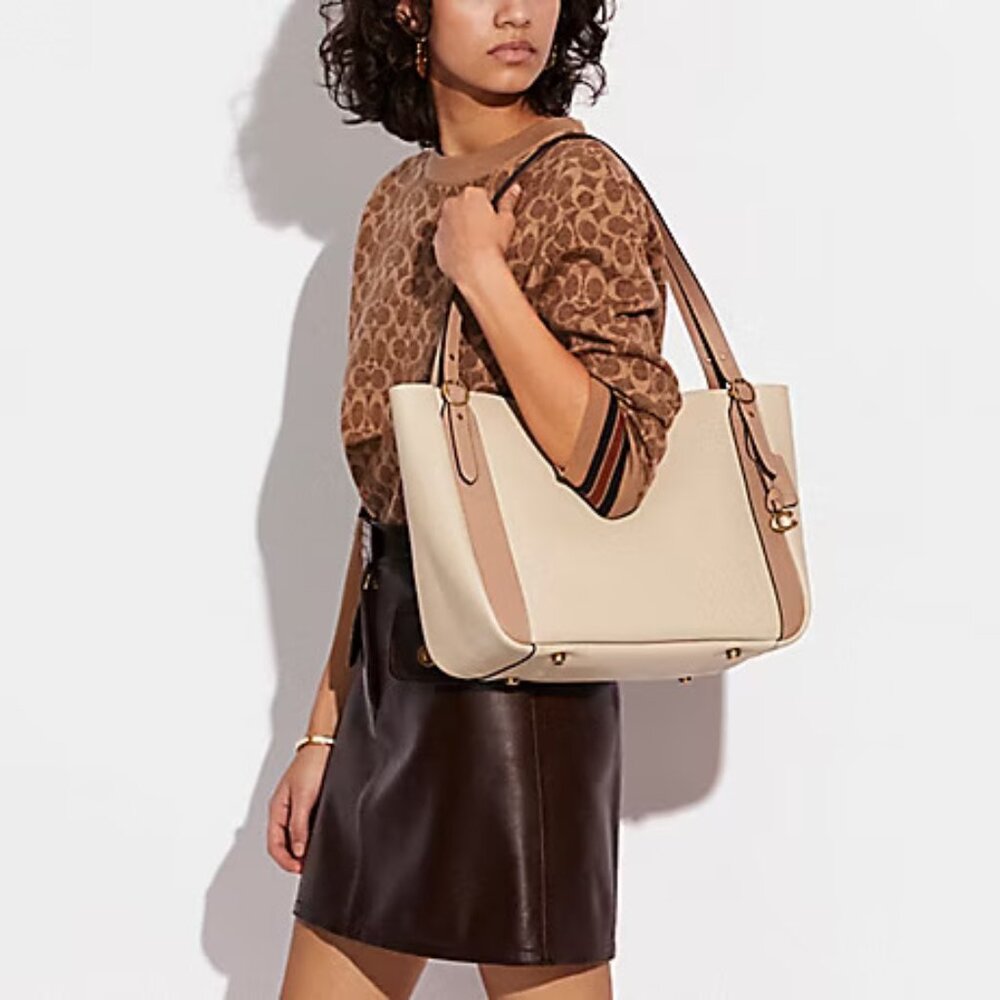 Coach Alana Tote in Colorblock #C8366